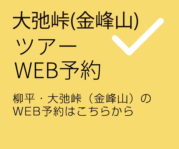 焼山峠・大弛線（金峰山線）WEB予約